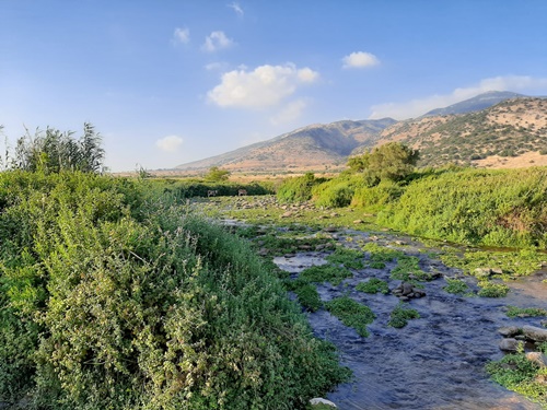 דרך ארץ טיולי ג'יפים